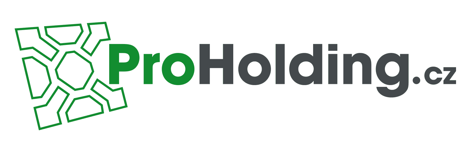 proholding